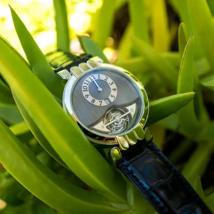 Harry Winston Excenter Tourbillon, photo 2