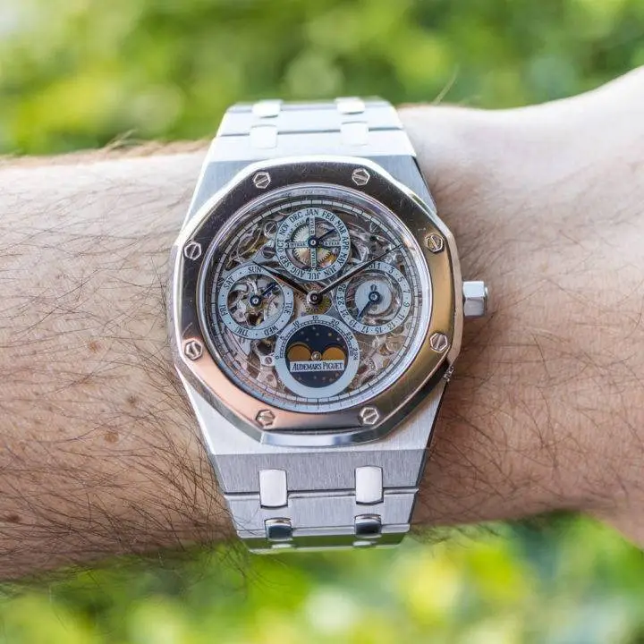 Audemars Piguet ROYAL OAK PERPETUAL SKELETON STEEL/PLATINUM, photo 1