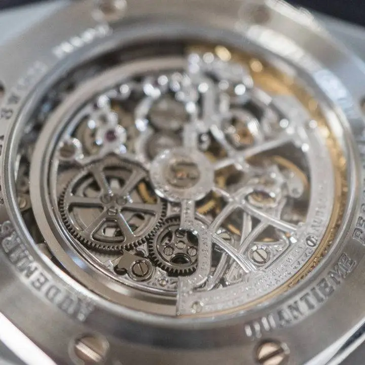 Audemars Piguet ROYAL OAK PERPETUAL SKELETON STEEL/PLATINUM, photo 3