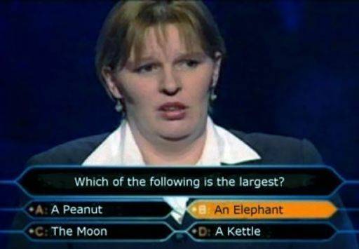 Who Wants To Be a Millionaire